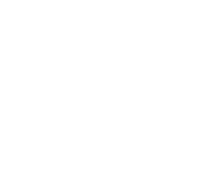 Value Trust